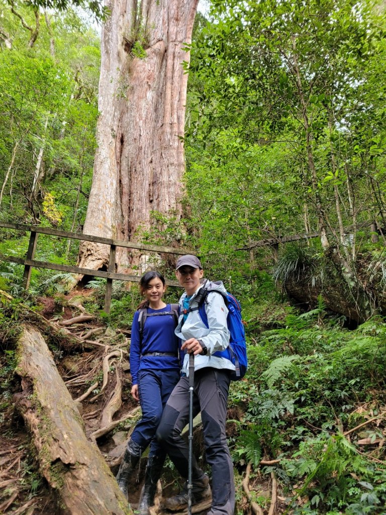 八五山上內鳥嘴山下北得拉曼_1171435