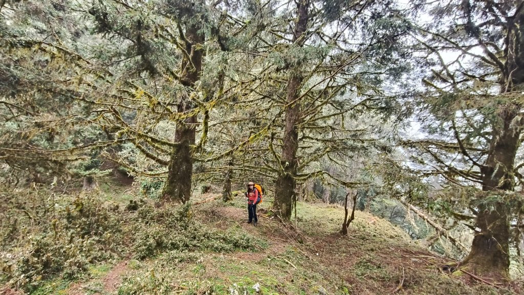 新康五天~戒茂斯進，出瓦拉米_2949683