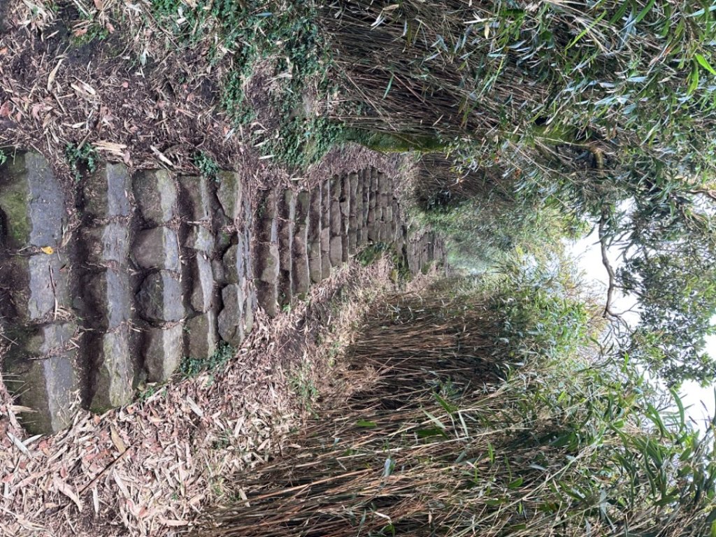 臺北大縱走第三段 小油坑》風櫃嘴_2478226