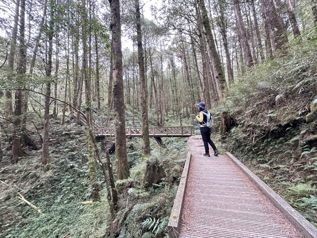 眠月線健行_2992986