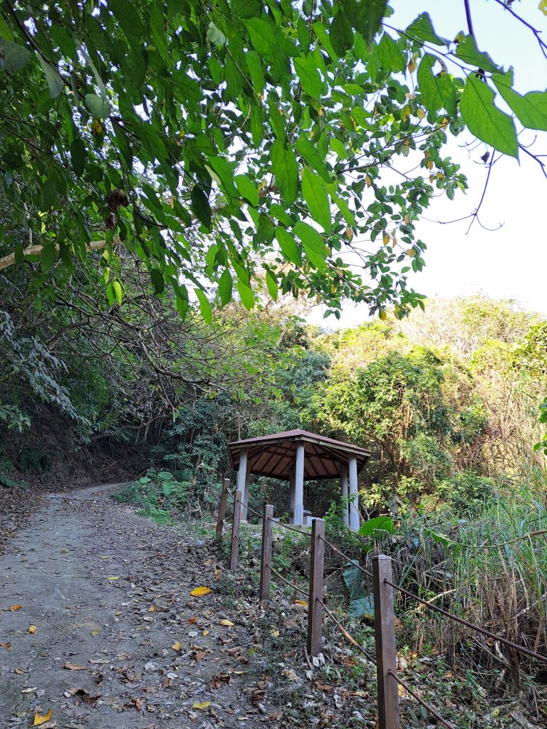 霧峰奧山+砲台山+桐林山O型20230127_2008232