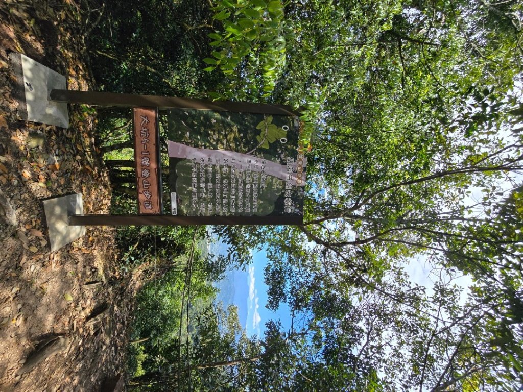 台中大坑頭嵙山區1號／5-1號5號步道黑松亭順訪二嵙山_2748356