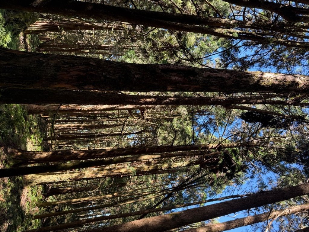 1141122特富野古道_2945849