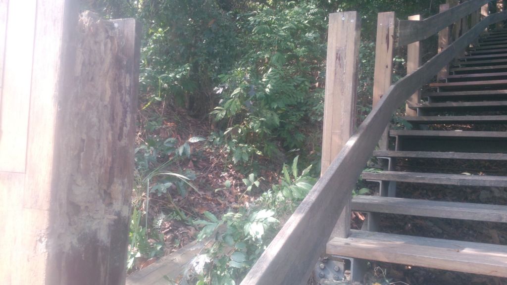 20150303高雄龜山_349746