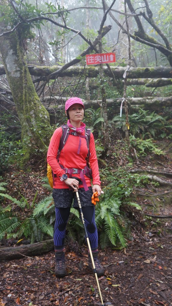 復興尖山之速_446512