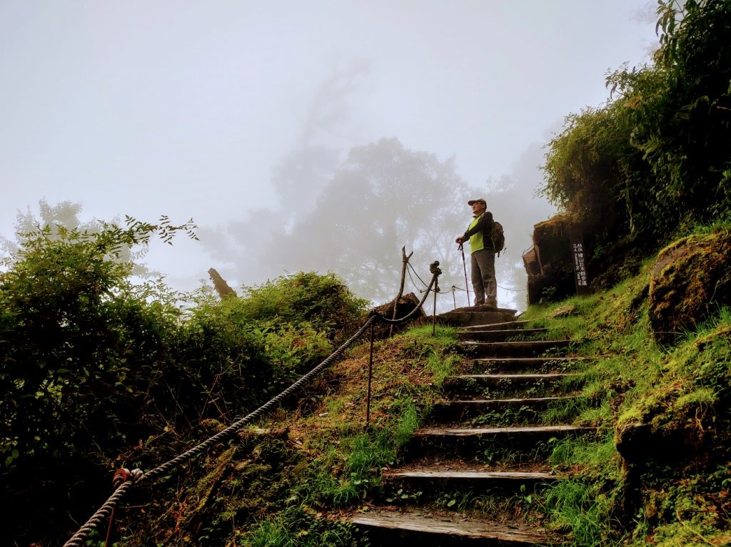【新竹】觀霧迷幻森林：檜山巨木群步道_1111881