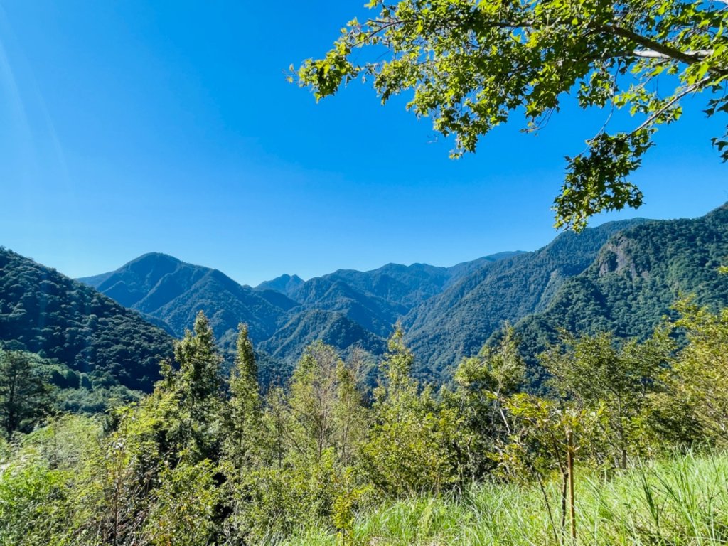 1140825司馬庫斯新巨木園區-司立富瀑布-部落觀景台_2871158