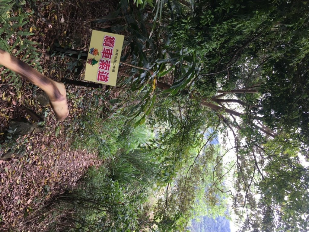 赤柯山、東獅頭山_2748553