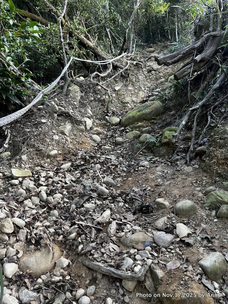 苗栗三員縱走_2942835