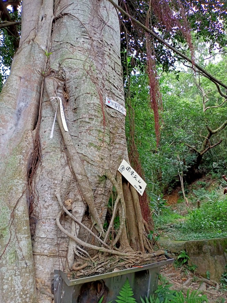 【臺北大縱走 4】捷運大湖公園站→大溝溪生態治水園區→圓覺寺步道→同心池+內湖三尖_1556995