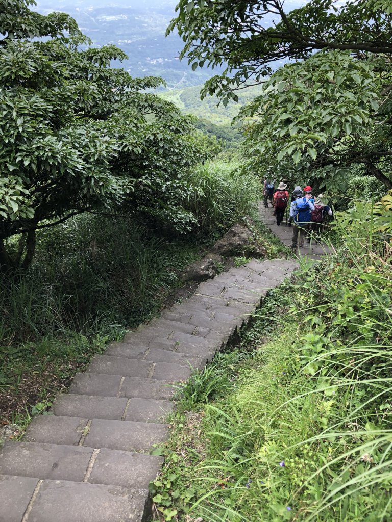 【台北大縱走3】冷水坑-七星山-小油坑_1006342