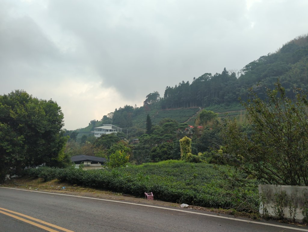 2024.10.12－會讓人迷糊的地方：迷糊步道_2627775