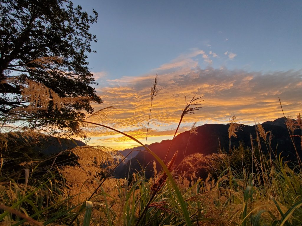 中橫大辣－屏風山封面圖