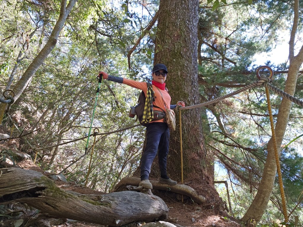 【谷關七雄】波津加(H1771.6m)肉腳配速成功_2670440