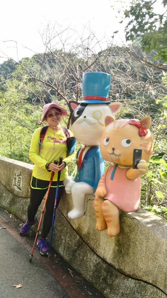 107.11.10 政大環山三路登山口→樟山寺→貓纜站→茶展中心登山口→小天空步道→壺穴步道→長虹橋_458620