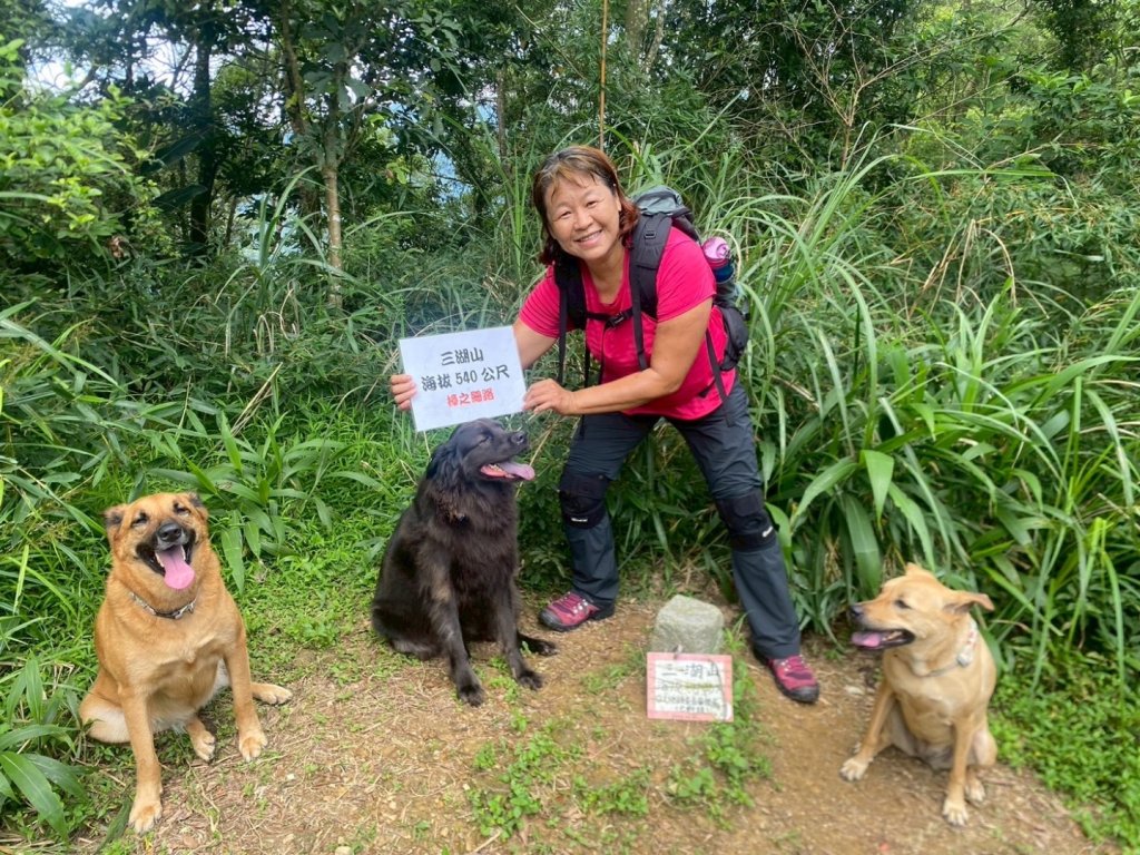 苗栗縣獅潭鄉鳴凰古道O型縱走_2803679