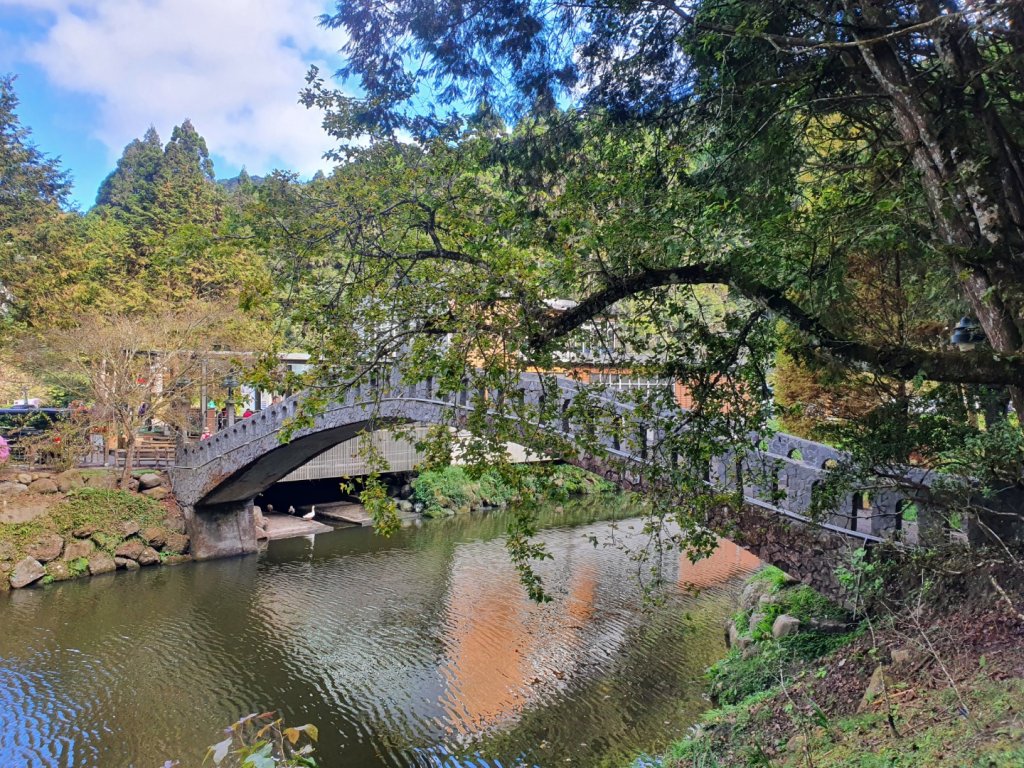 杉林溪靑龍蕨類步道（靑龍瀑布）_1197470