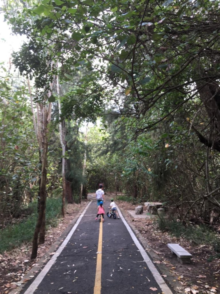 190721 貓仔們竹南海濱騎車行_657249