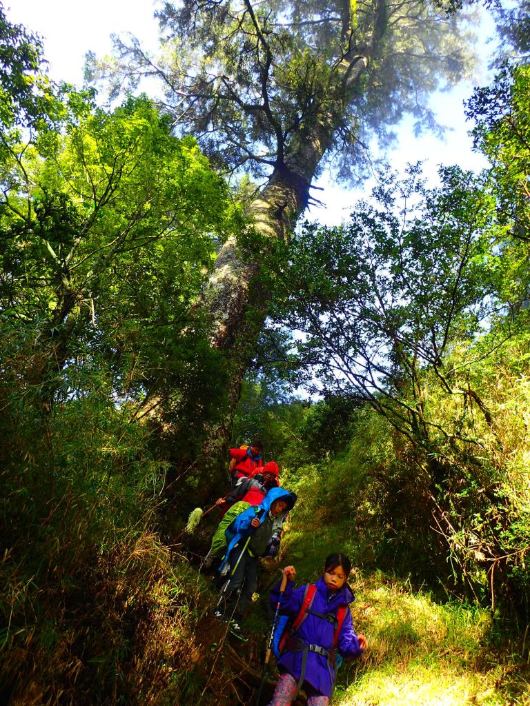 2017南湖群峰_227377