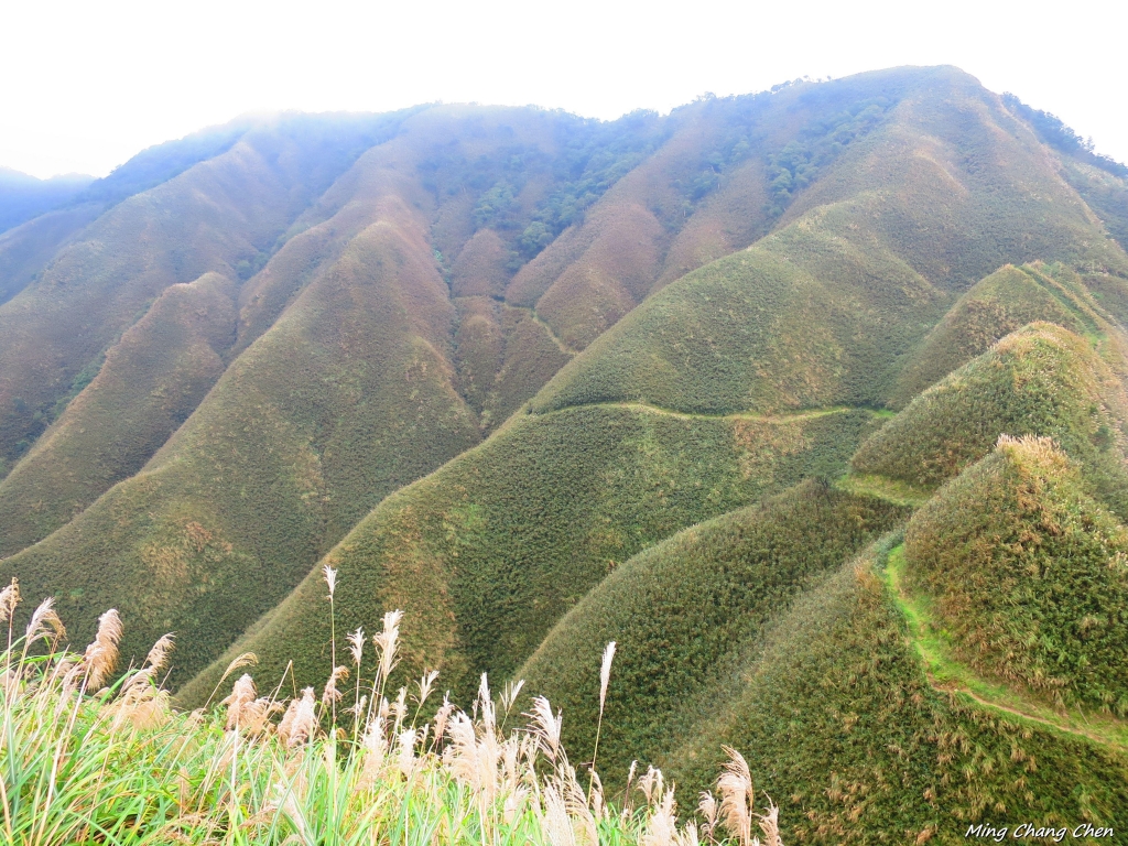 【山岳之美】~20141130~聖母登山步道_4656