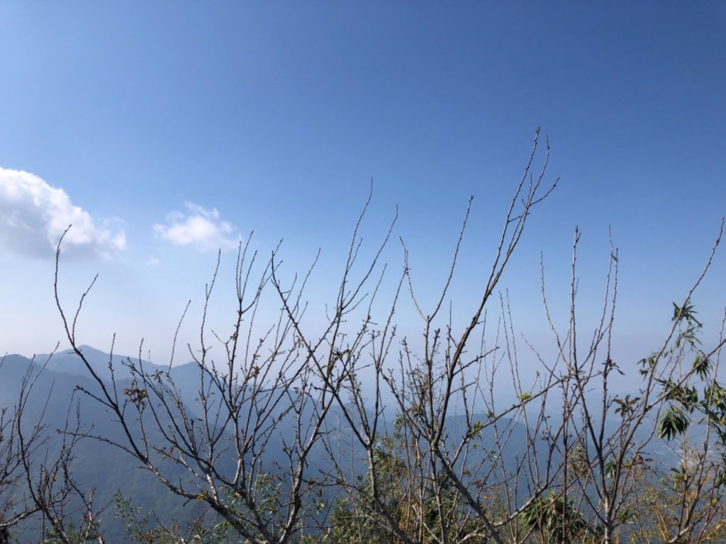 嘉義縣番路鄉二延平山_1965536