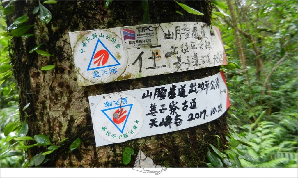 基隆七堵-雨行姜子寮山(小百岳011)_394870