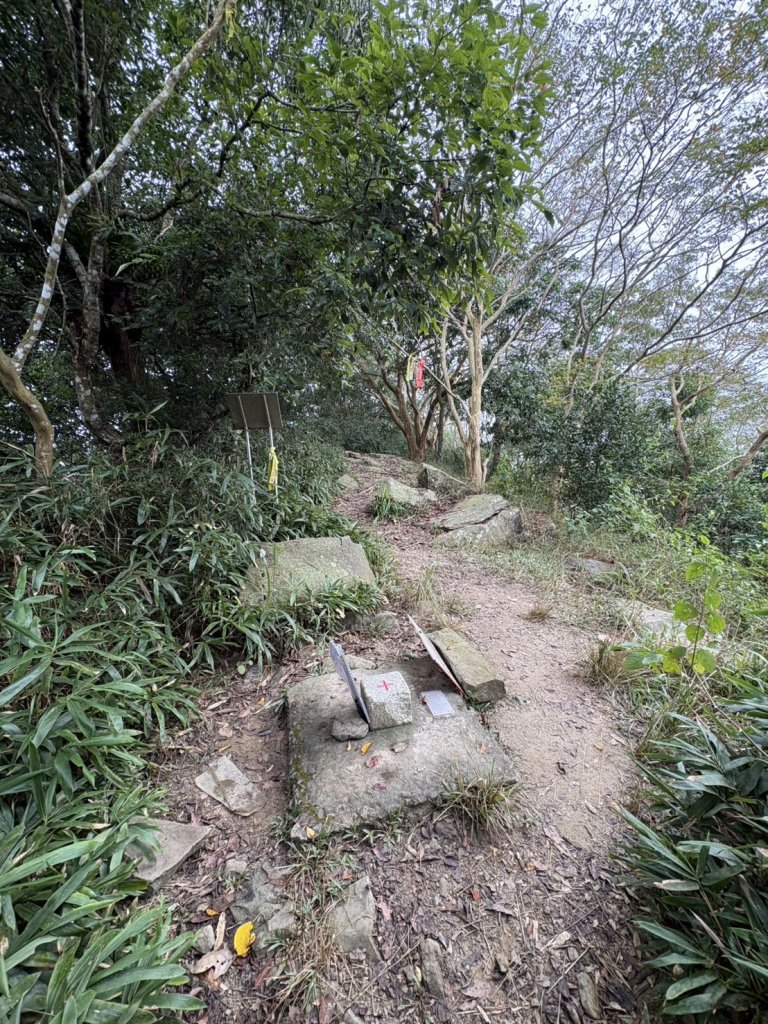 20251108白雲山步道_2935211