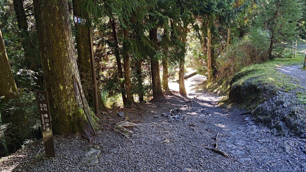 榛山景觀平台_2918095