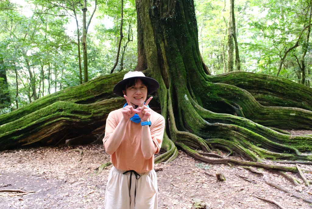 雪見大板根_2924685