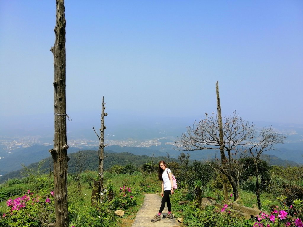 姜子寮山步道&姜子寮絕壁步道封面圖