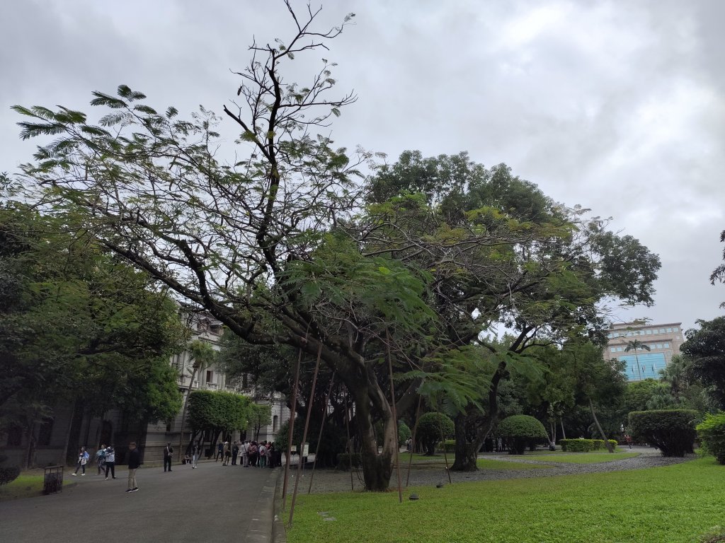 參觀總統府、臺北賓館_2666077