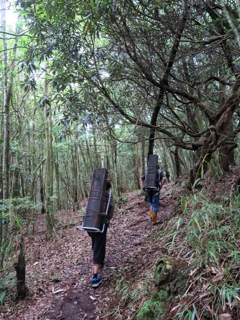 谷關七雄 - 八仙山_691696