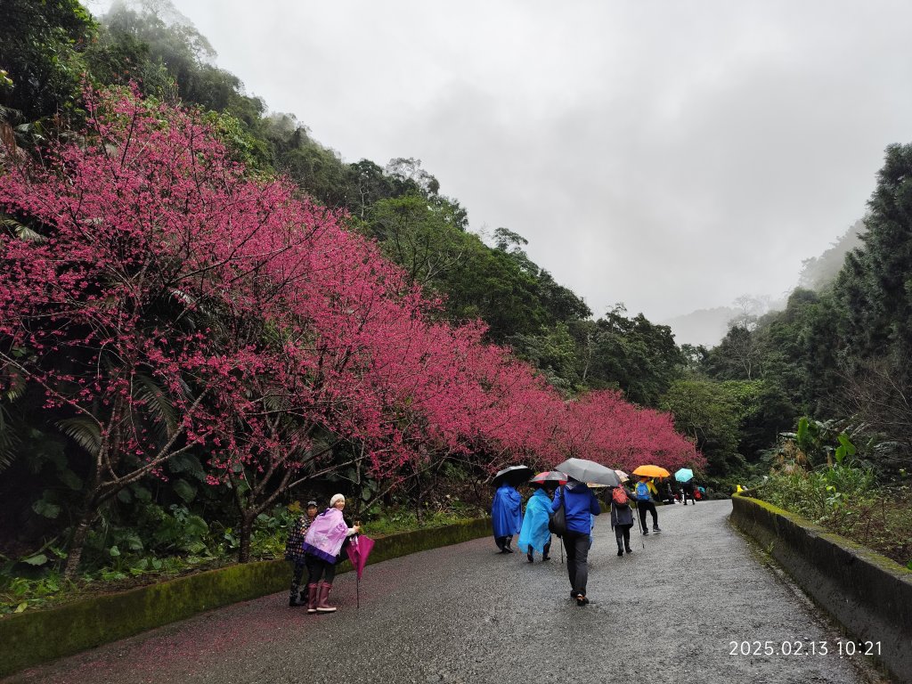 台北國軍英雄館→宜蘭縣員山鄉燈篙林道→礁溪郷潭酵天地觀光工廠→冬山鄉田老爺餐廳封面圖