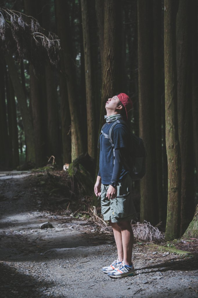 檜山巨木森林步道_1177161