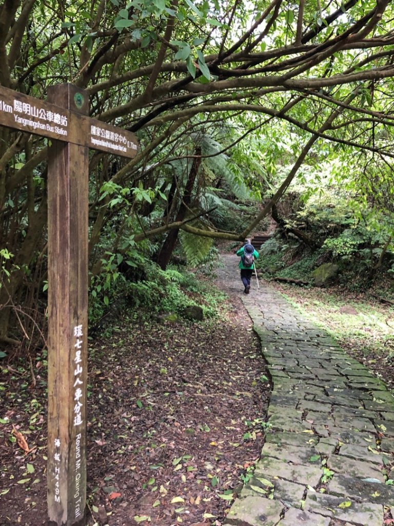 天母水管路步道、紗帽山、七星山來回走_1662113
