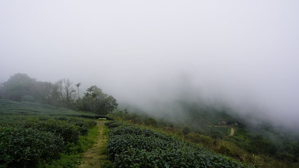雲嘉九連峰_1438893