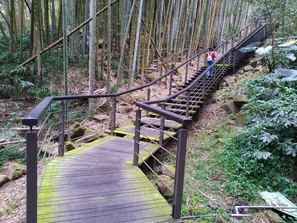 2023-03-04 奮起湖奮起步道_2057741