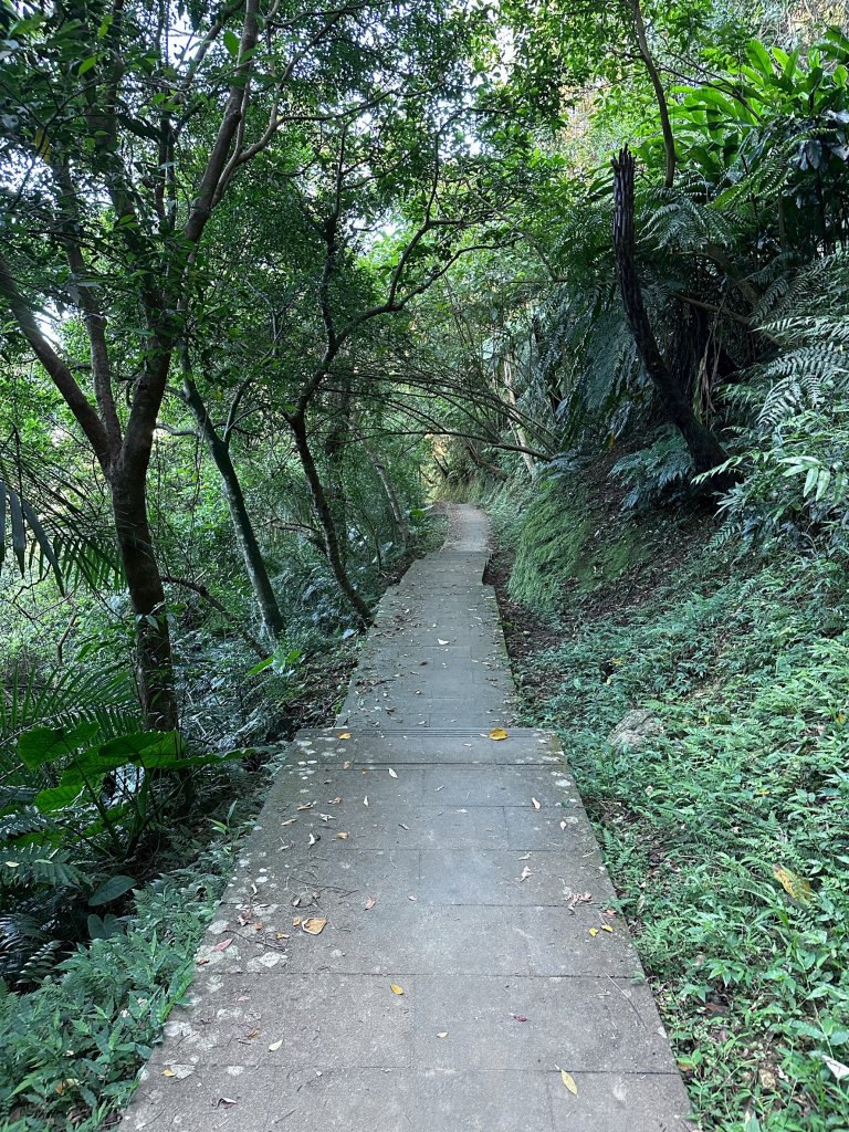 和美山螢火蟲段_2873337