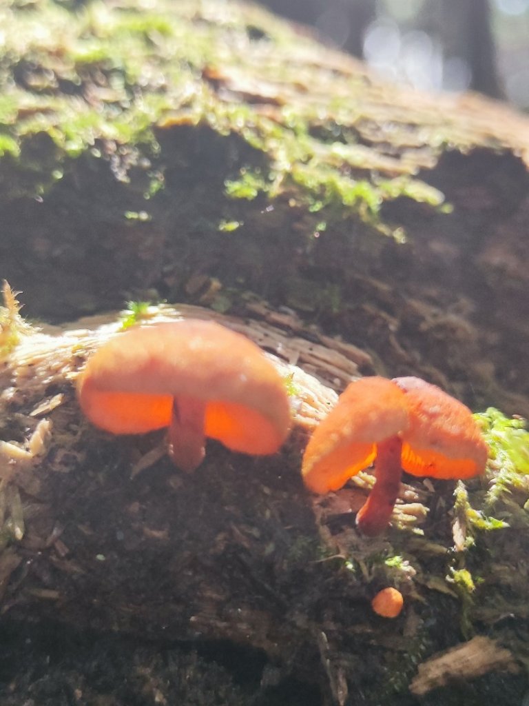 民都有山_2844992