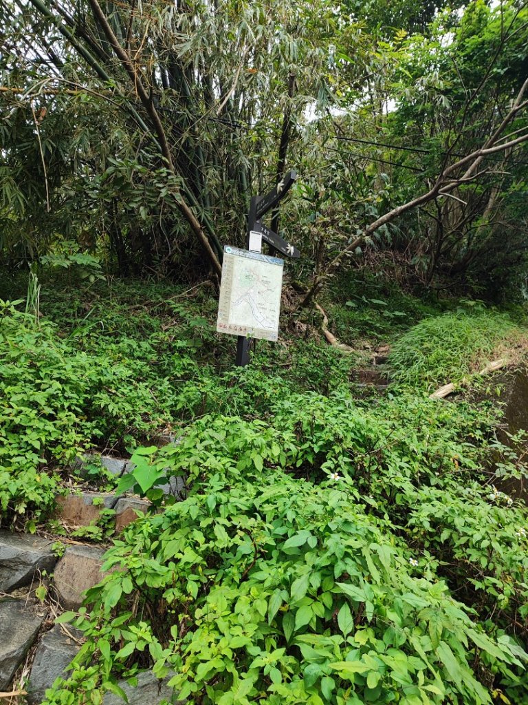 淡蘭南路2+1逆走_2671850