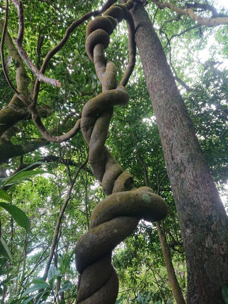 畝畝山、青林山、石古井、石硿子瀑布、石硿子古道O走_1492695