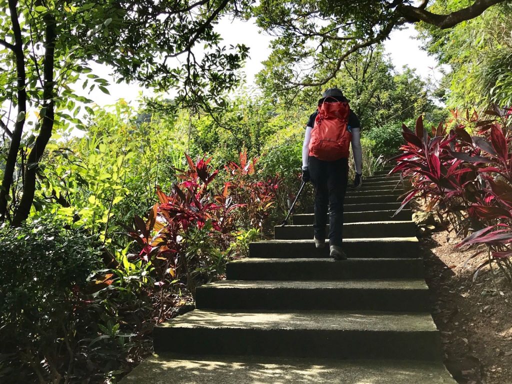 劉銘傳路上紅淡山環走_390515