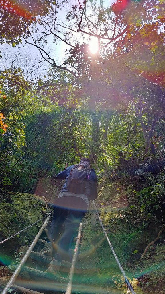 小百岳系列之天上山_1334764