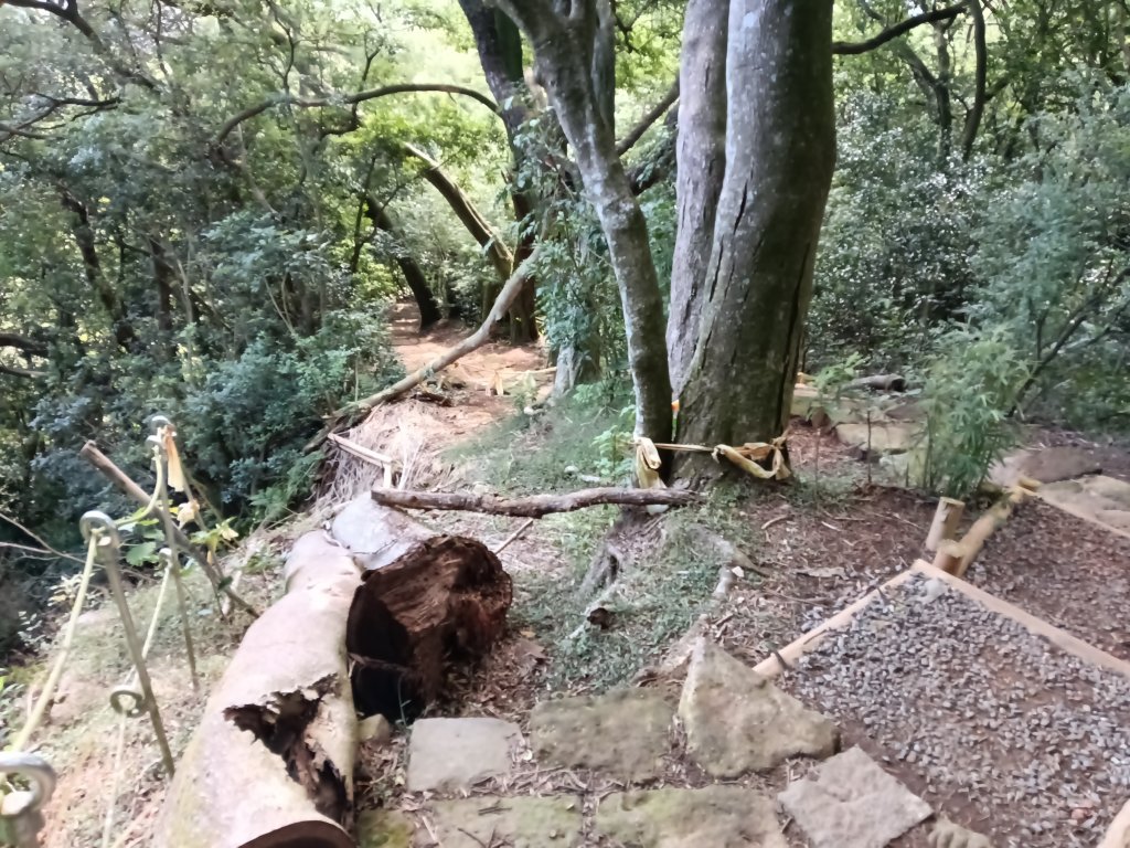 北投區清天宮步道+面天山+向天山+向天池+興福寮步道+頂青礐古道P字走_2960081