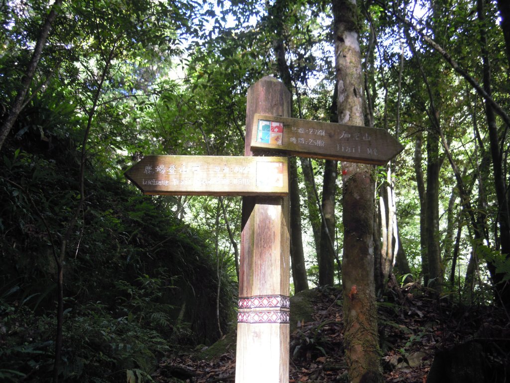 加里山20130630_1958143