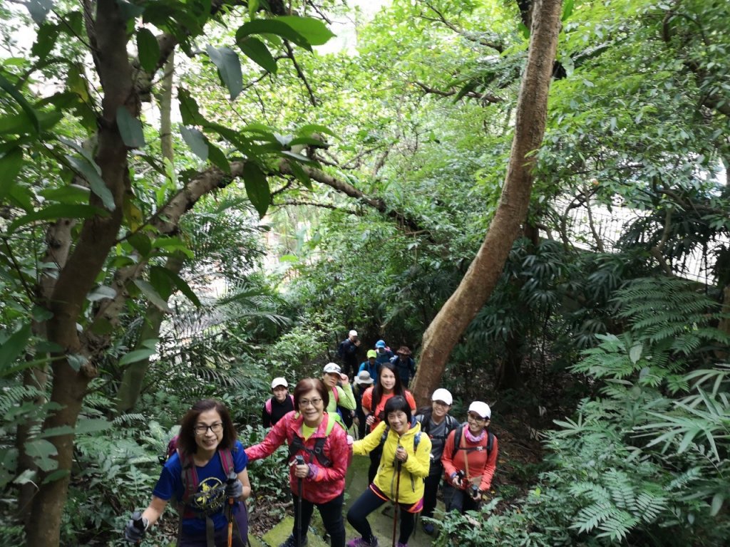瓏美麗初五團（台北南縱走）壯_817588
