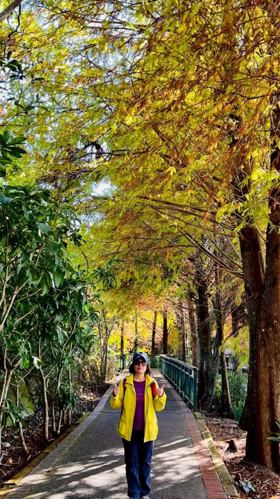 🌈12/21(日)落雨松紅了~日月潭環湖精華段✨FB：熊熊趴爬走🌈_2967402