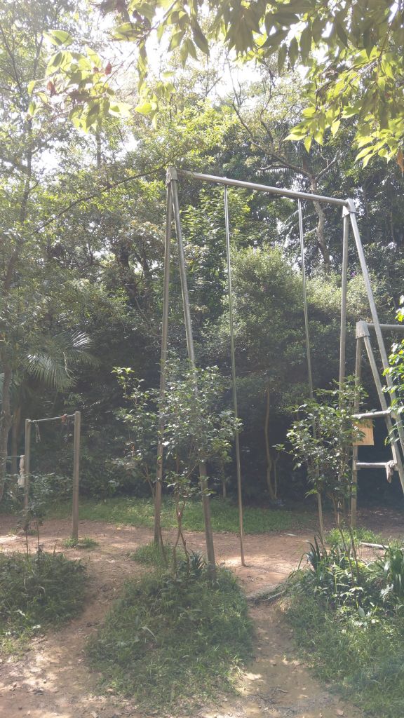 新溪洲山之樂_400462