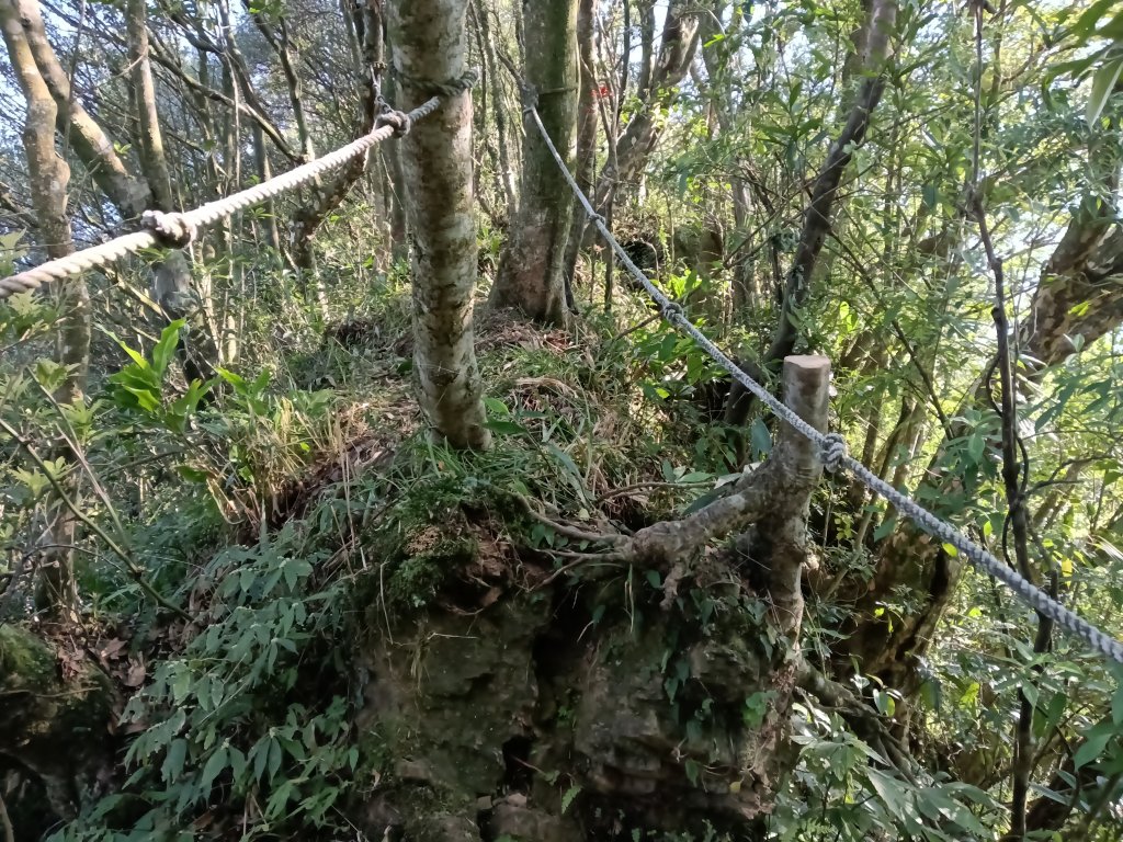 坪林區楣子寮尖+土地公遺址+火燒寮古道+枋山坑古道+枋山坑崙O型_2985651