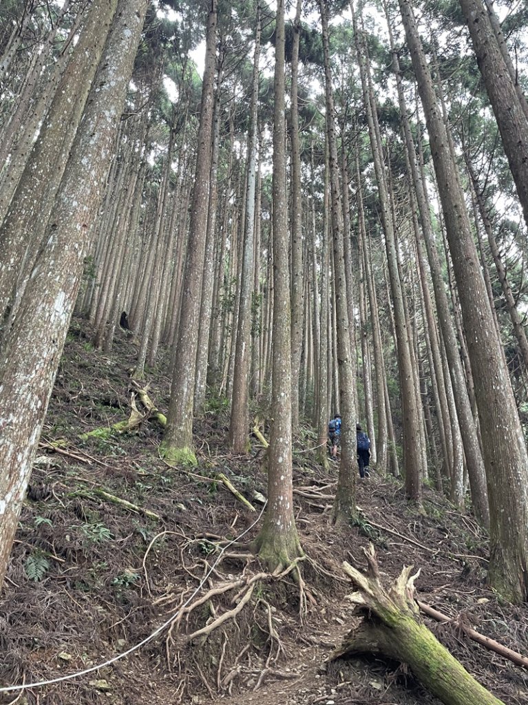 民都有山_2877331